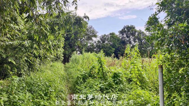 仁德農地-2