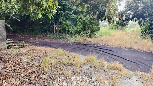 仁德農地-3