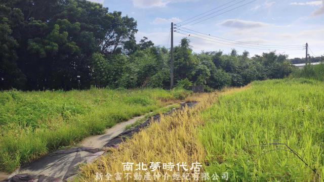 仁德農地-4