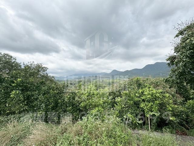 東山農地-6
