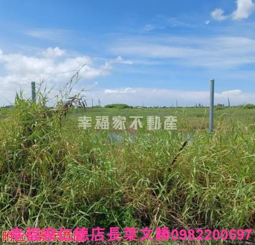 台南農地-2