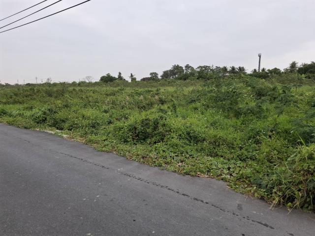 新市農地-11