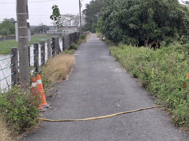 新市農地-2