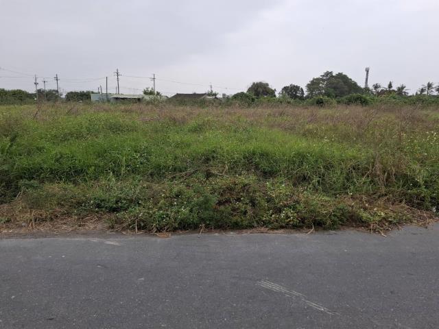 新市農地-8