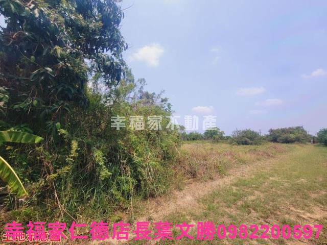 台南農地-1