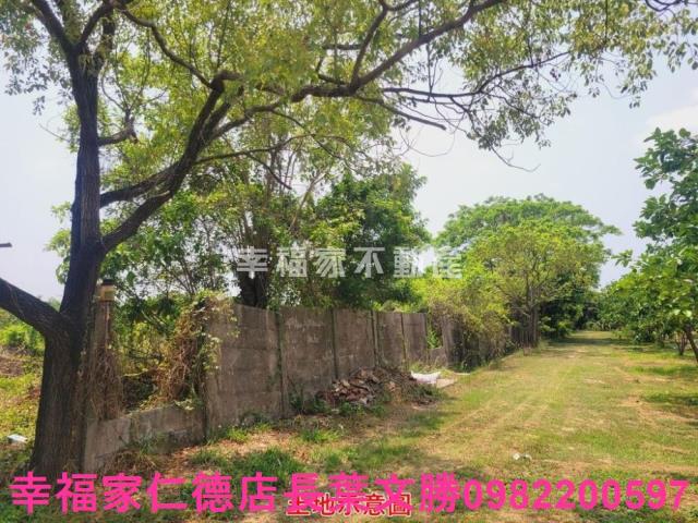 台南農地-8