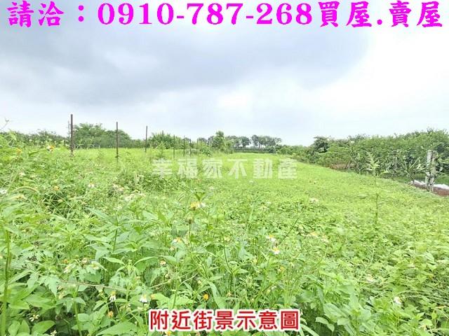 台南麻豆農地-5