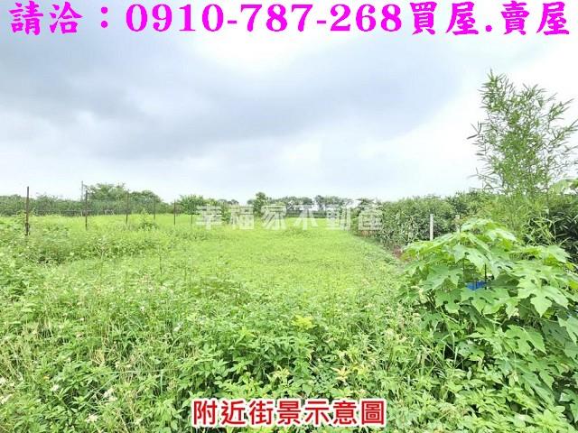台南麻豆農地-6