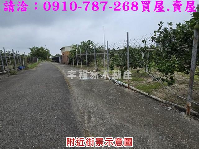 台南麻豆農地-9