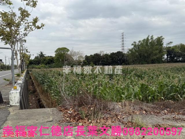 台南農地-10