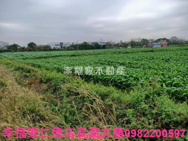 台南佳里農地-14