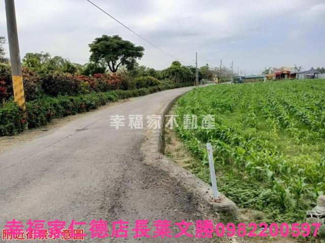台南佳里農地-6