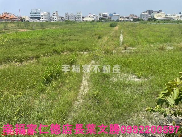 台南仁德農地-10