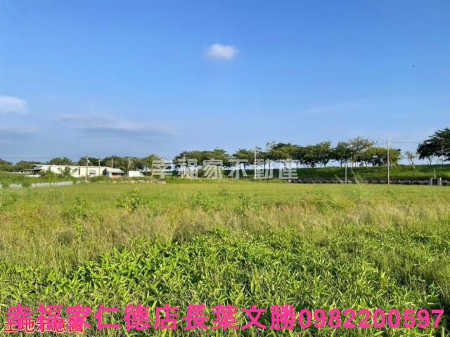 台南仁德農地-14
