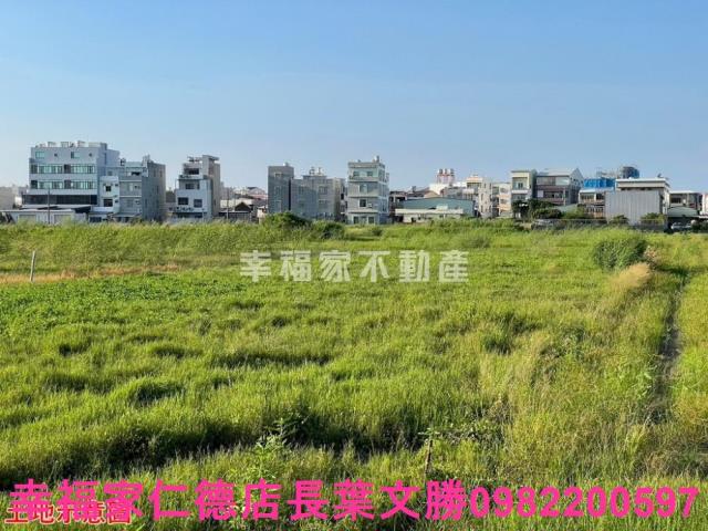 台南仁德農地-5