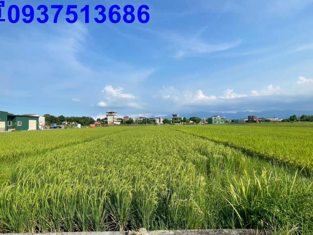 宜蘭員山農地-5