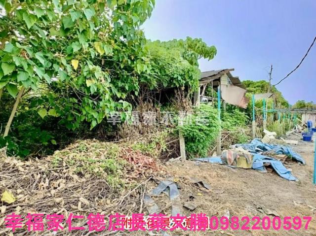佳里農地-13