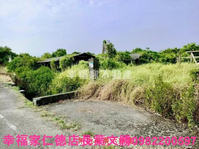 佳里農地-15