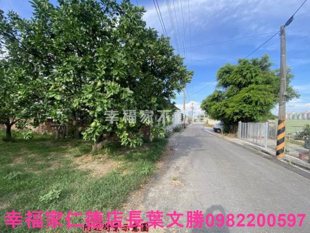 麻豆農地-3