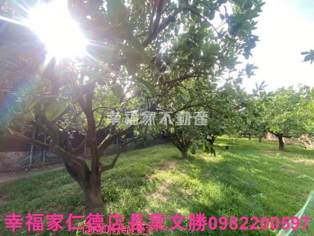 麻豆農地-5