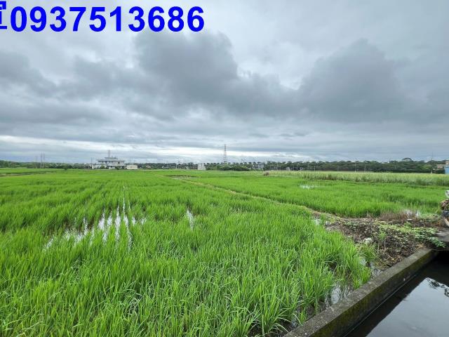 礁溪農地-3