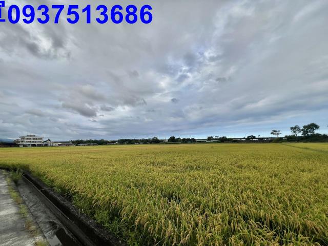 宜蘭農地-1