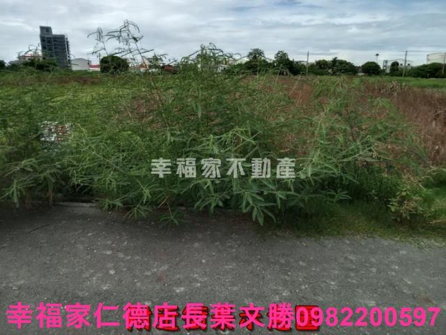 七股農地-13
