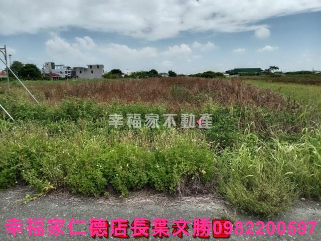 七股農地-5