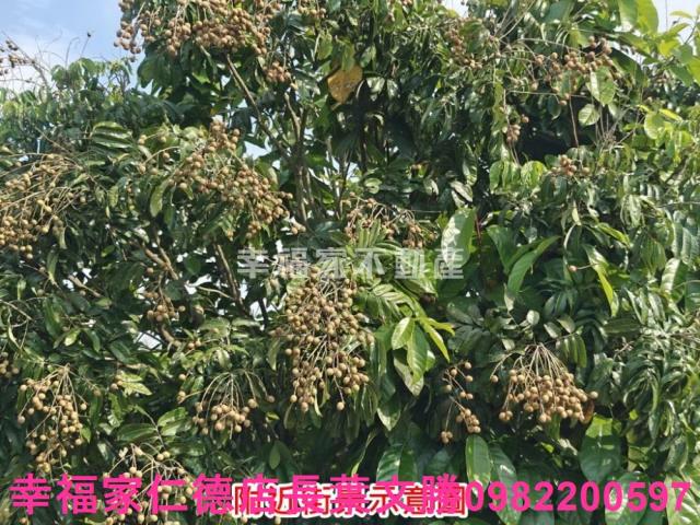 官田農地-11