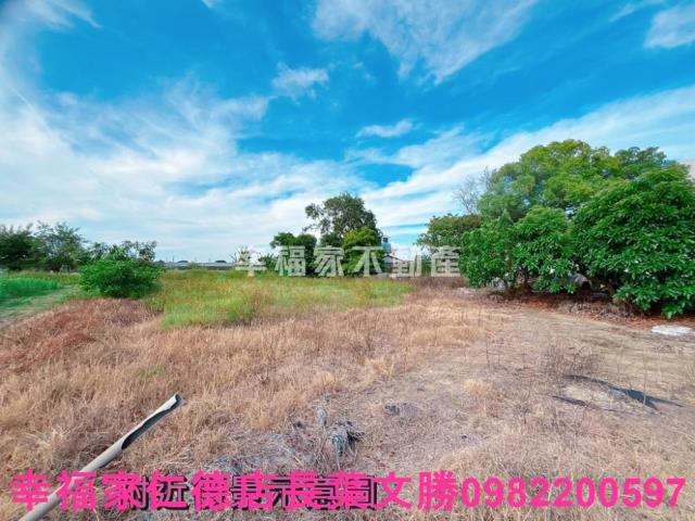 善化農地-2