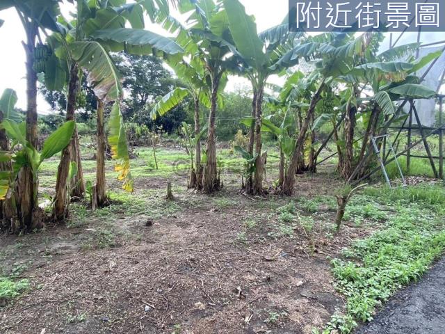 永康農地-3