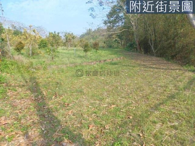台南左鎮農地-1
