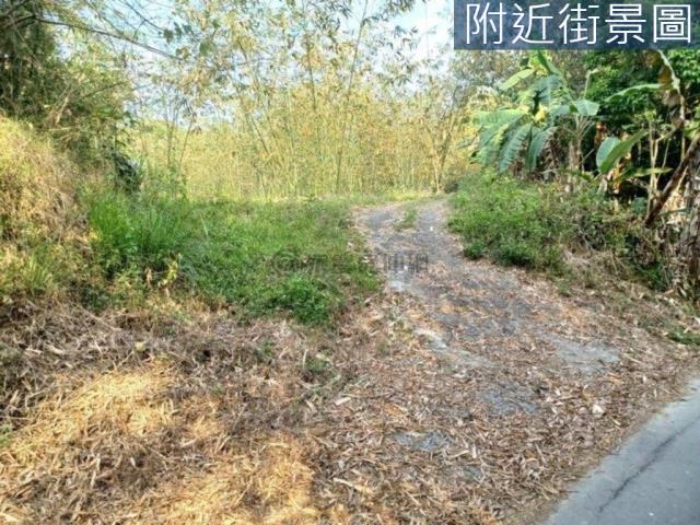 台南左鎮農地-6