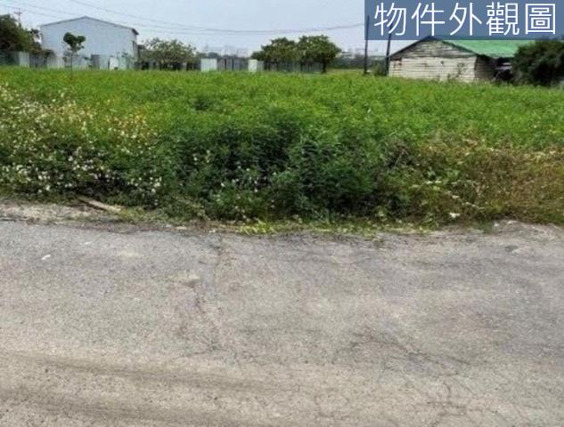 台南新市農地-5