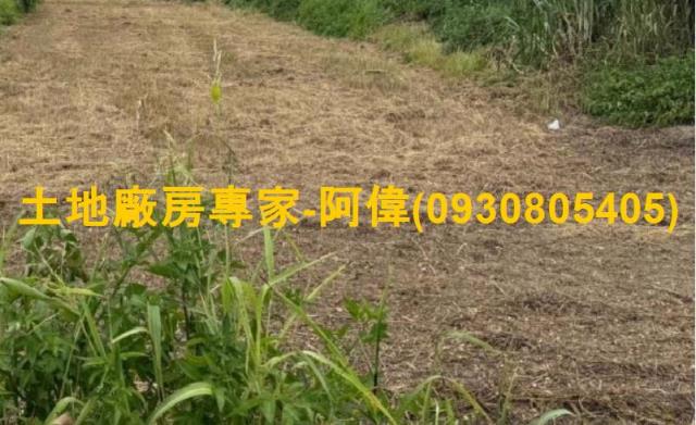 台南麻豆工業地-1