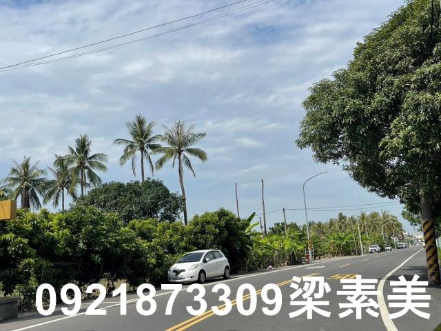 仁德農地-7