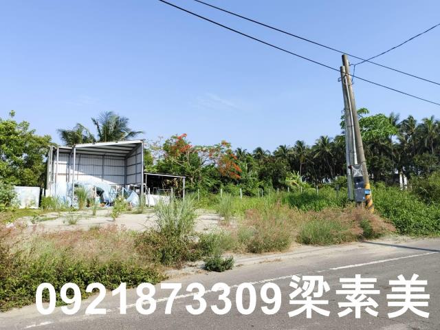 仁德農地-8