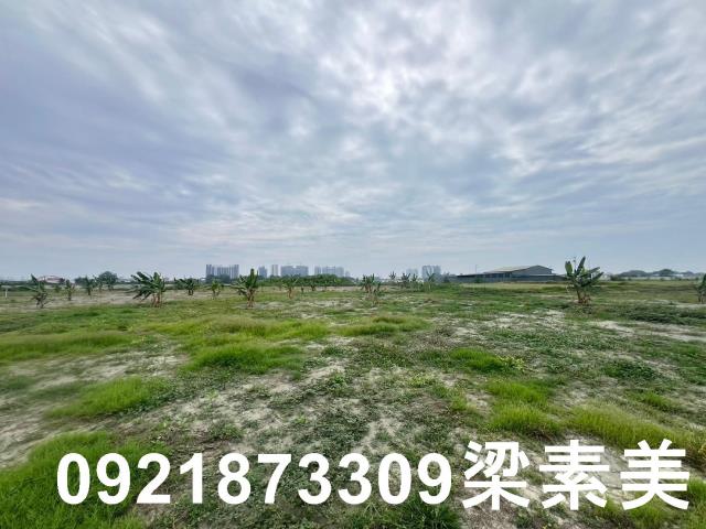 仁德農地-11