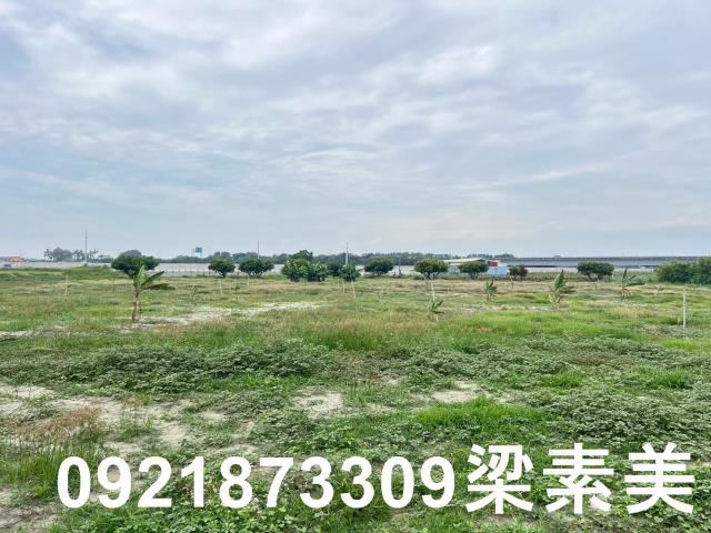 仁德農地-12