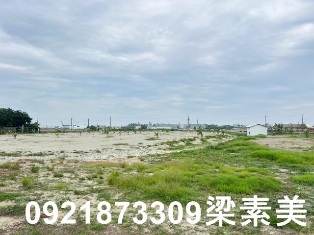 仁德農地-13