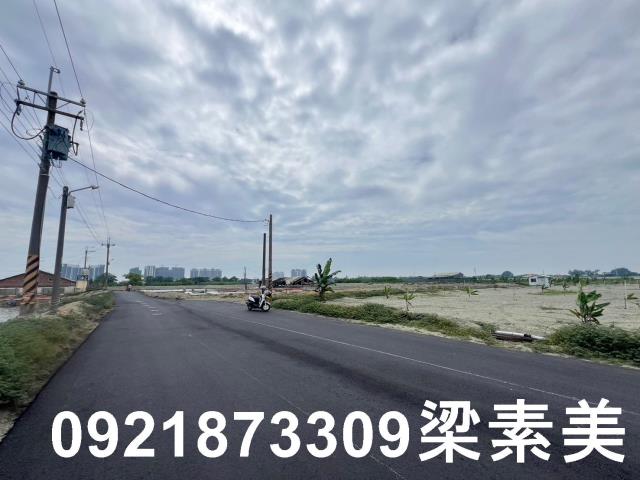 仁德農地-2