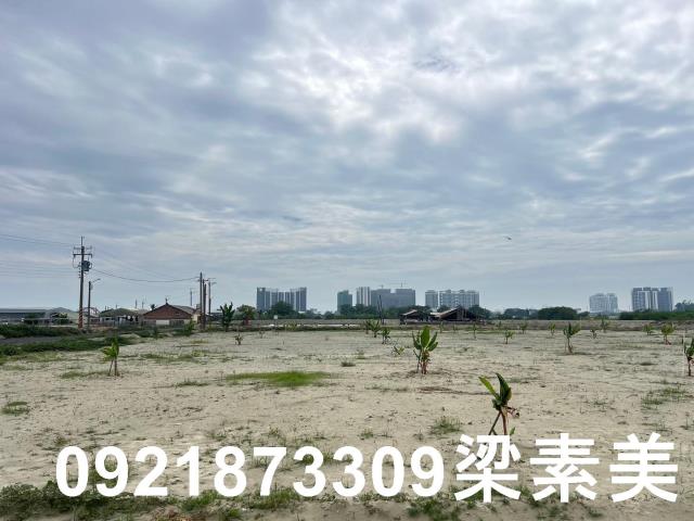仁德農地-5