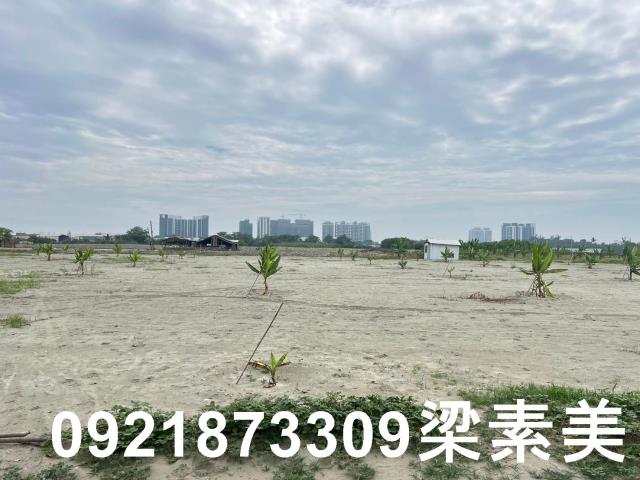 仁德農地-6