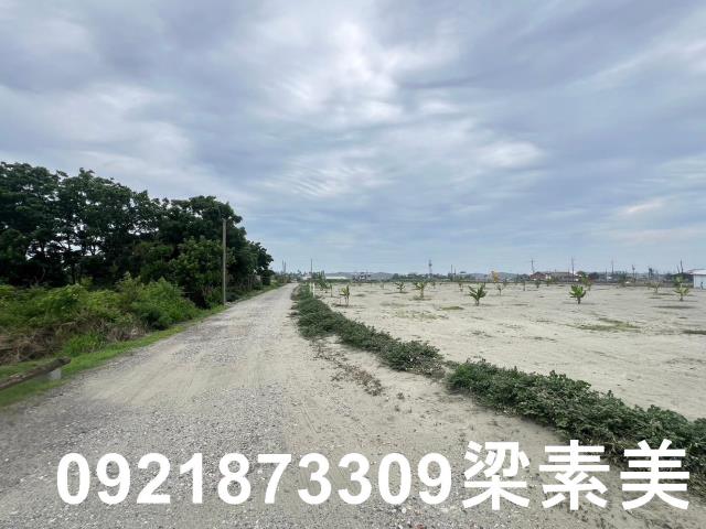 仁德農地-8