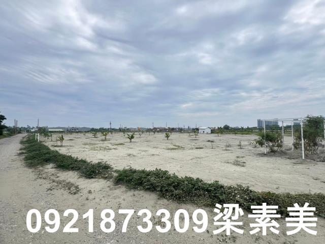 台南農地-10