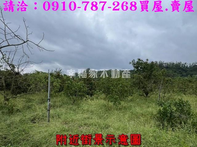 台南大內農地-13