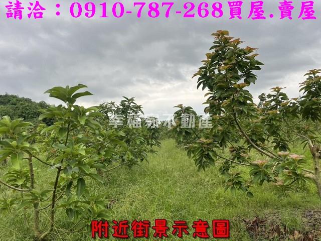 台南大內農地-5