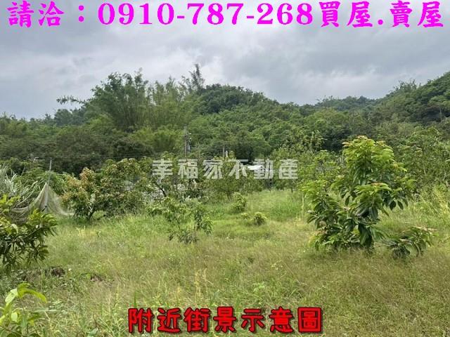 台南大內農地-7