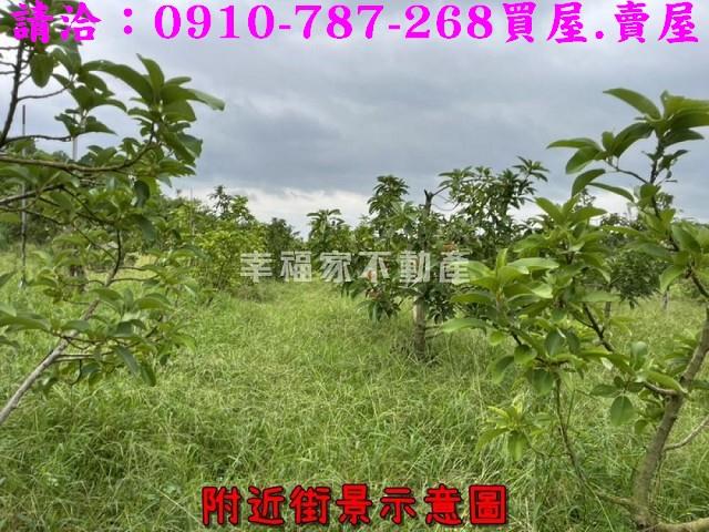 台南大內農地-9