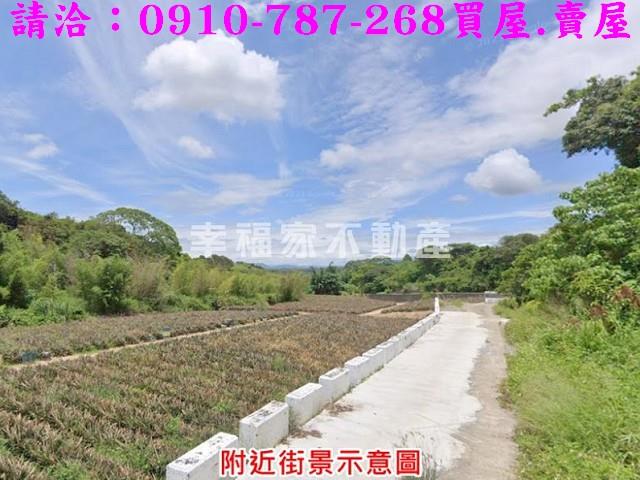 台南關廟農地-4